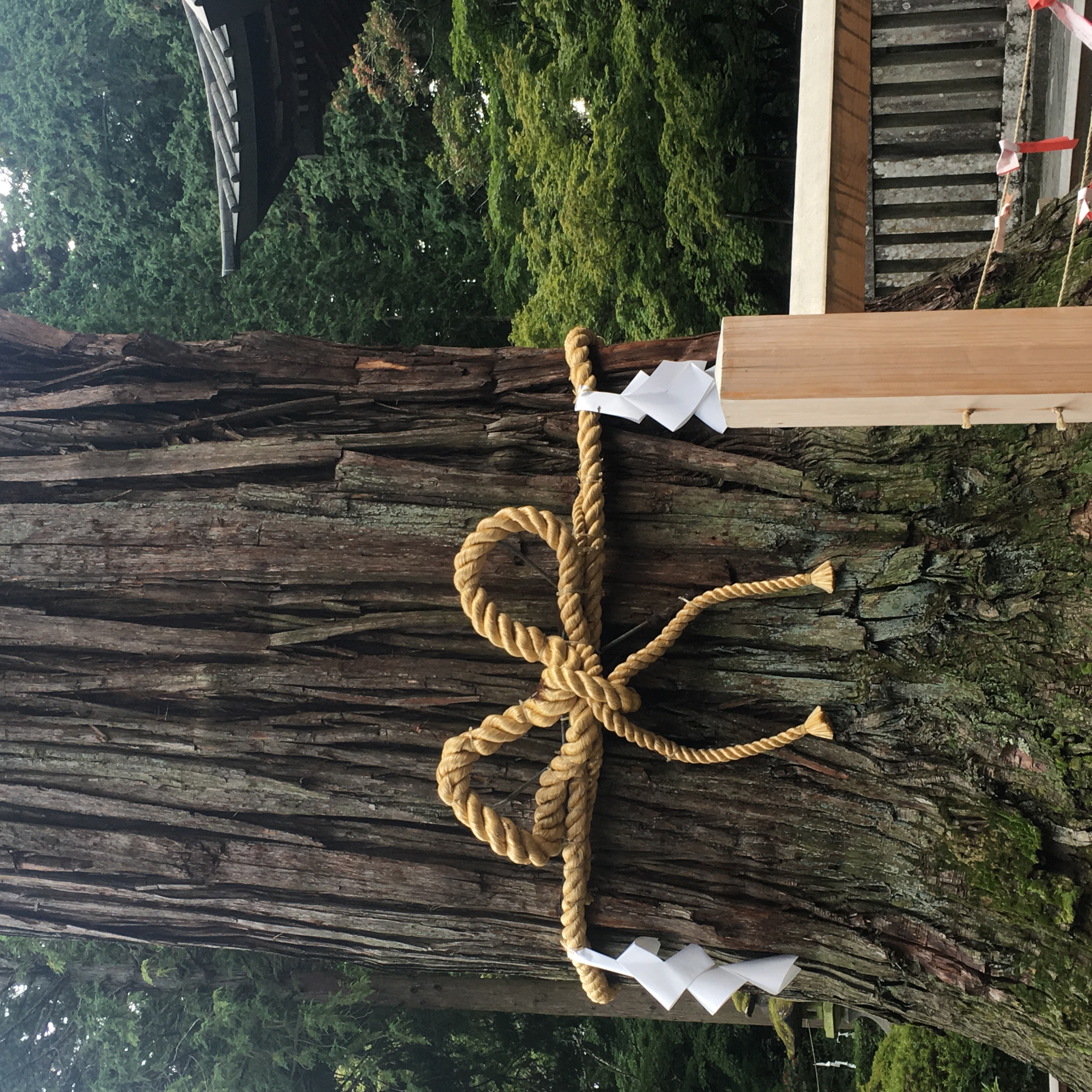 Mt. Fuji Retreat Retreat