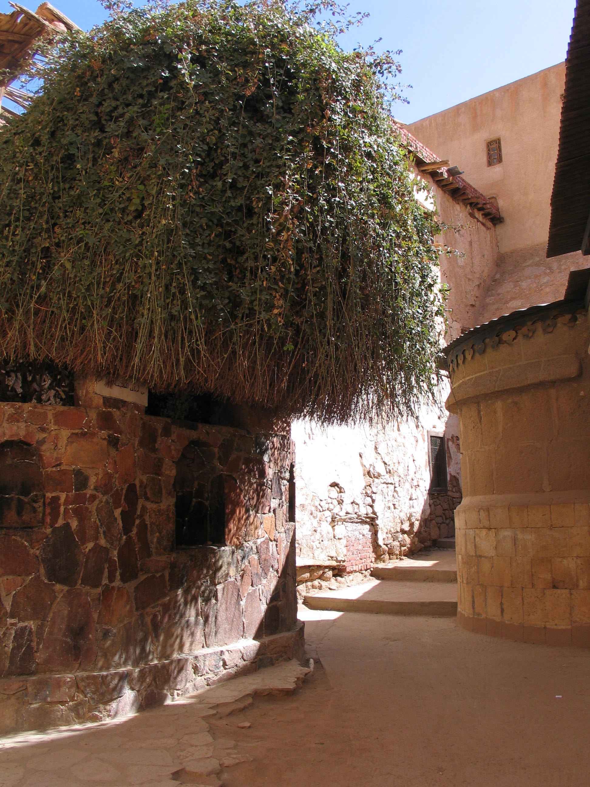 Mount Sinai Spiritual Pilgrimage & VIP Great Pyramid Visit