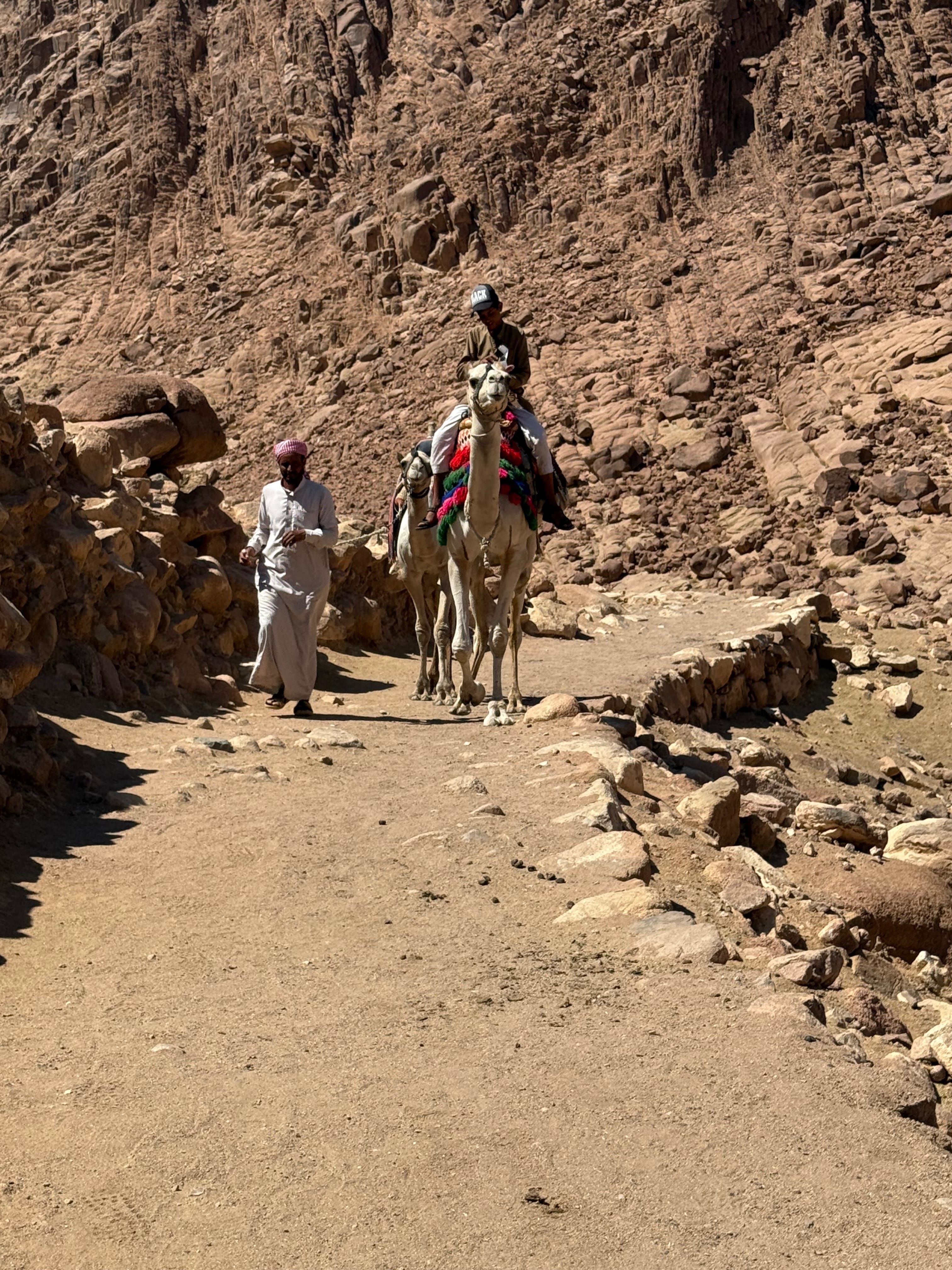 Mount Sinai Spiritual Pilgrimage & VIP Great Pyramid Visit
